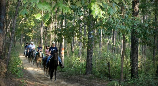 This Quaint Horseback Ride Through Louisiana’s Forest Is A Magnificent Way To Take It All In