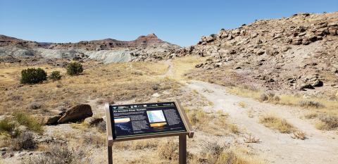 Spend The Day Exploring These Dinosaur Trails And Quarries In Colorado