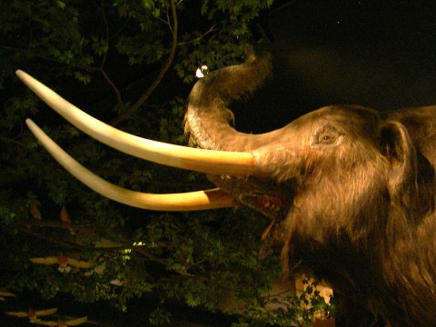 The Mystical Places In Indiana Where Prehistoric Beasts Once Roamed