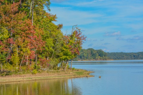 Staunton River State Park Is A Scenic Outdoor Spot In Virginia That's A Nature Lover’s Dream Come True