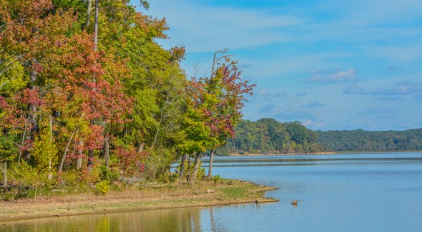 Staunton River State Park Is A Scenic Outdoor Spot In Virginia That’s A Nature Lover’s Dream Come True