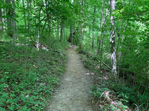 Kentucky River Overlook Trail Is A Gorgeous Forest Trail In Kentucky That Will Take You To A Hidden Overlook