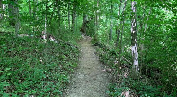 Kentucky River Overlook Trail Is A Gorgeous Forest Trail In Kentucky That Will Take You To A Hidden Overlook