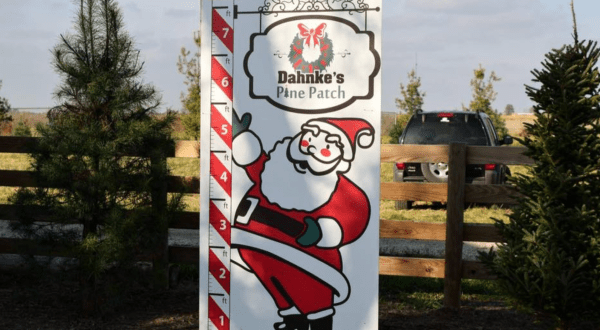 Celebrate The Holiday Season With A Visit To Dahnke Family Farms In Illinois