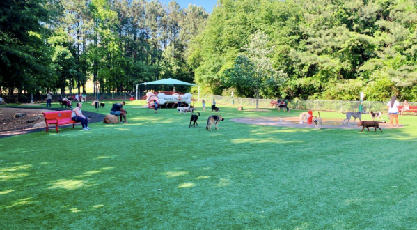 You Have To See To Believe Newtown Dream Dog Park In Georgia, One Of The Top Dog Parks In The Country