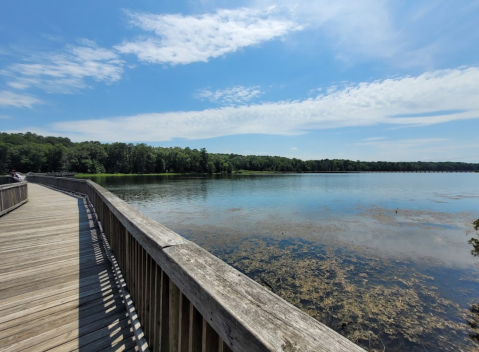 Measuring Over 7,000 Acres, Newport News Park Is One Of Virginia's Most Beautiful Natural Sanctuaries