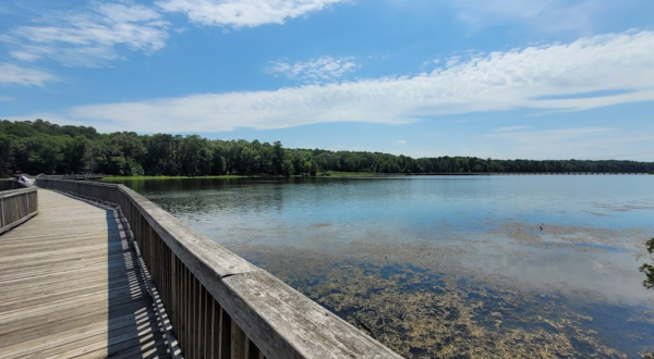 Measuring Over 7,000 Acres, Newport News Park Is One Of Virginia’s Most Beautiful Natural Sanctuaries