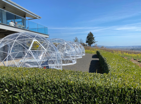 Stay Cozy In A Heated Dome While Sipping Wine At Winderlea Winery And Vineyard In Dundee, Oregon