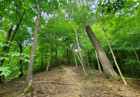 The Hike To Raven Rock Nature Preserve In Ohio Is So Special, It Requires A Permit To Conquer
