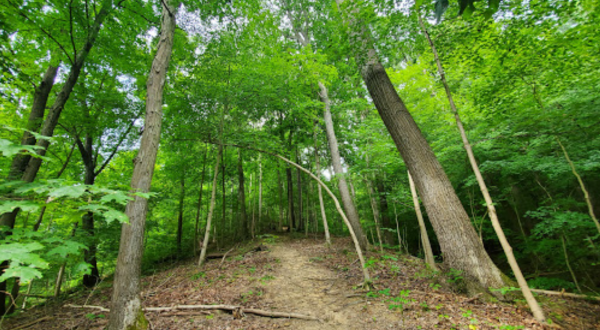 The Hike To Raven Rock Nature Preserve In Ohio Is So Special, It Requires A Permit To Conquer