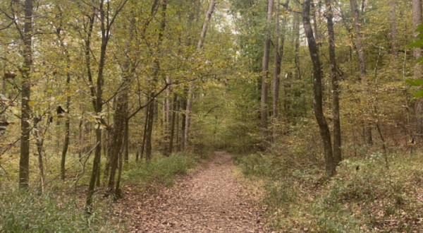 There’s Nothing Quite As Magical As The Tunnel Of Trees You’ll Find At Beavers Bend State Park In Oklahoma