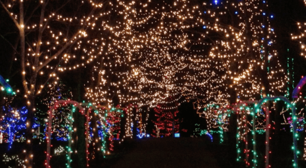 The Larger-Than-Life Journey Borealis Holiday Show Is Set To Take Place In Ohio This Season