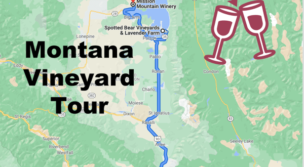 Road Trip To 3 Different Vineyards On This Montana Wine Tour