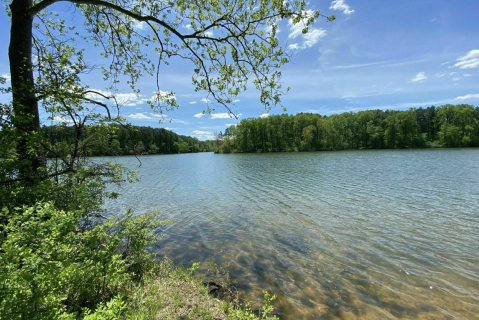 Follow This 1 Mile Trail In Maryland To A Beautiful Lake