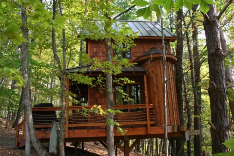 Spend The Night In An Airbnb That's Inside An Actual Treehouse Right Here In New York