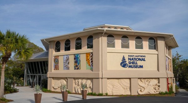 There’s A Seashell Museum In Florida And It’s Full Of Fascinating Oddities, Artifacts, And More