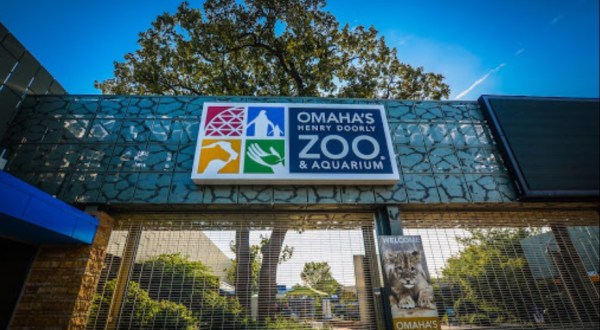 Nebraskans Will Never Forget Their First Time Visiting Henry Doorly Zoo And Aquarium In Nebraska