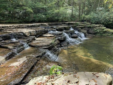 An Easy But Gorgeous Hike, Camp Creek Trail Leads To A Little-Known Stream In West Virginia