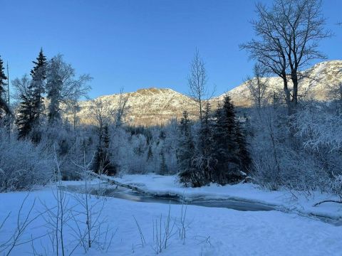 Hike The Snowy Boardwalks With Peekaboo Mountain Views On This Easy Trail In Alaska
