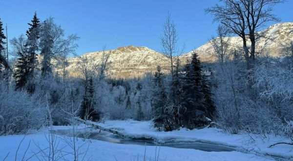 Hike The Snowy Boardwalks With Peekaboo Mountain Views On This Easy Trail In Alaska