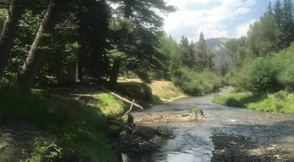 An Easy But Gorgeous Hike, Red River Nature Trail Leads To A Little-Known River In New Mexico