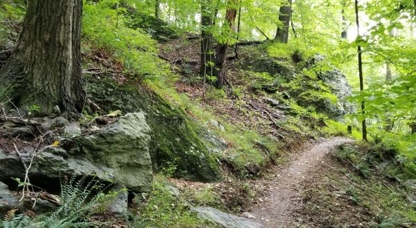 Take An Easy Loop Trail To Enter Another World At Pleasantville Loop Trail In Maryland