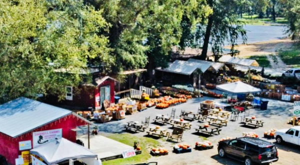Discover Delish Fresh Produce And Enormous Dream Whips At Darnell Farms On The Tuckasegee River In North Carolina