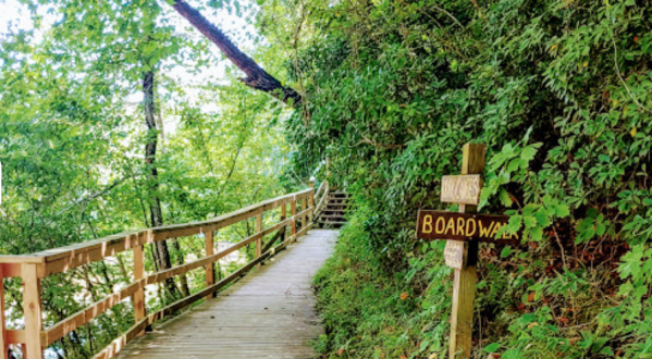 Follow This 3/4-Mile Trail In North Carolina To A Hidden Cave, A River, And Baptism Rock