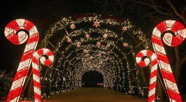 The Larger-Than-Life Holiday Road Experience Is Returning To Southern California This Winter