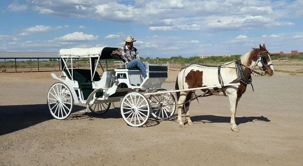 This Quaint Wagon Ride Through The Arizona Desert Is A Magnificent Way To Take It All In