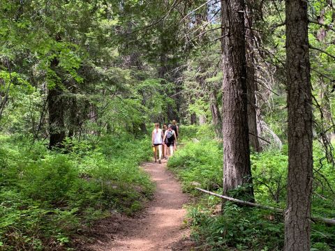 The Easy 2-Mile Lily Marsh Trail Will Lead You Through The Idaho Ponderosas