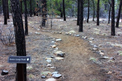 This Secluded State Park In New Mexico Is A Nature Lover's Paradise All Year Long