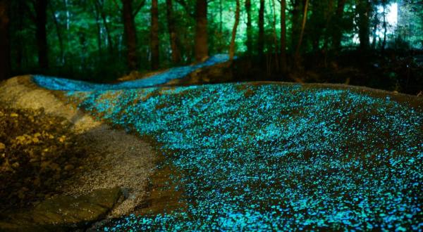 Try The Ultimate Nighttime Adventure With A Bike Ride At Leopards Loop Glow Trail In Arkansas