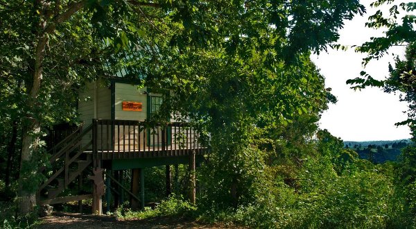 Spend The Night In A Treehouse In The Middle Of Arkansas’ Turpentine Creek Wildlife Refuge