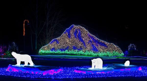 The Larger Than Life Zoo Lights Have Returned To Washington This Winter