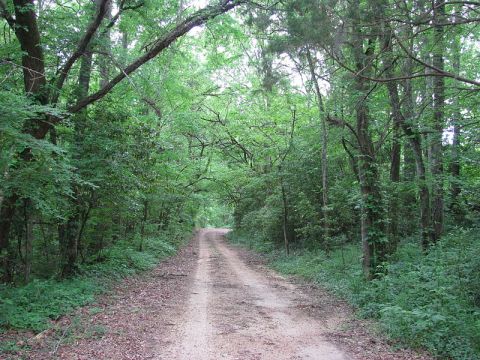 Ancient Road In Mississippi That’s Loaded With Fascinating History