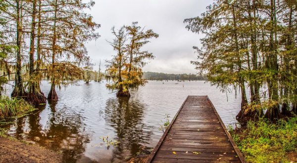Spend The Night In Louisiana’s Most Majestic Campground For An Unforgettable Experience