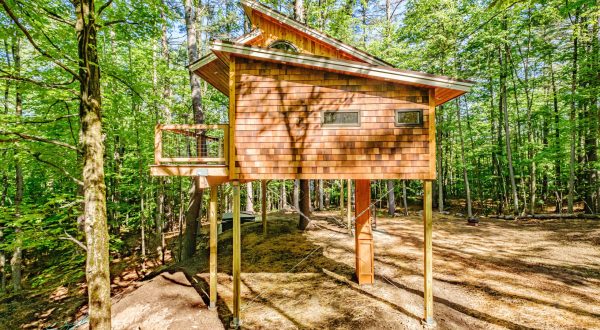 Sleep Among Towering Pines At The Canopy Tree House In Maine