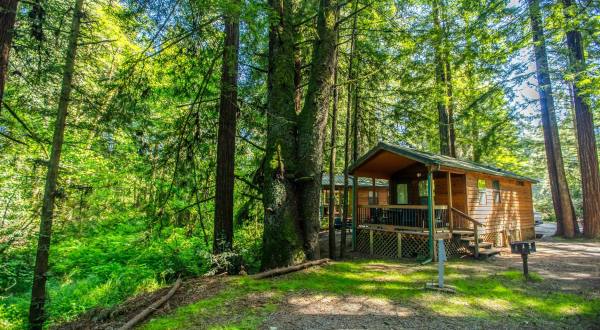 This Year-Round Campground In Northern California Is One Of America’s Most Incredible Forest Getaways