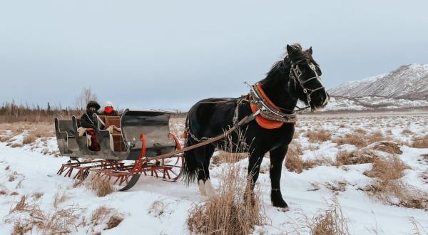 Ride Through Alaska’s Snowy Landscape On The Winter Horse Sleigh Rides