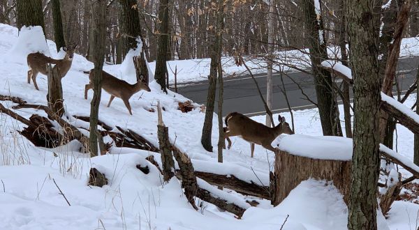 The Easy 2.7-Mile Winter Hike In Pittsburgh That’s Positively Enchanting