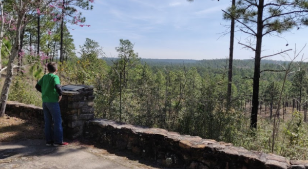 The Kisatchie National Forest Is Louisiana’s Only National Forest, And It’s Worth A Stop