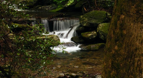 Roaring Fork Is An Unrivaled Mountain Hike In Tennessee Everyone Should Take At Least Once