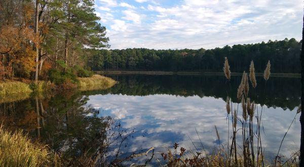 This Secluded Lake Trail In Louisiana Is So Worthy Of An Adventure