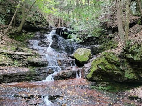 Prompton State Park Is An Underrated State Park That Just Might Be The Most Beautiful Place In Pennsylvania