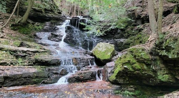 Prompton State Park Is An Underrated State Park That Just Might Be The Most Beautiful Place In Pennsylvania