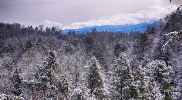 Take This 14-Mile Drive To Take In Magical Winter Views In Tennessee After A Good Snowfall