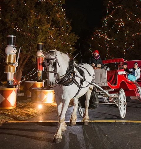 Take A Carriage Ride Through A Magical Christmas Light Display At Celebration Of Lights In Missouri
