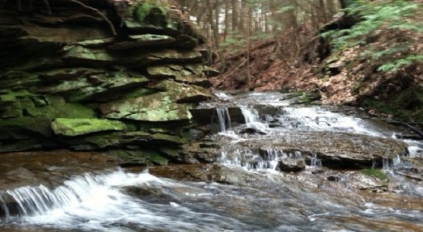 This Secluded Nature Reserve In Pittsburgh Is So Worthy Of An Adventure