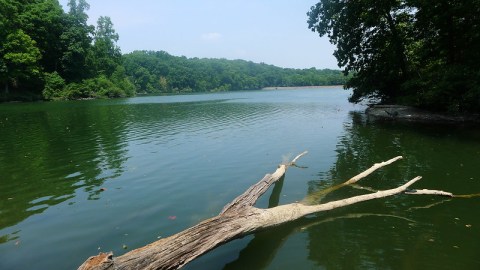 This Year-Round Campground In Montgomery Bell State Park Is One Of America's Most Incredible Experiences Near Nashville